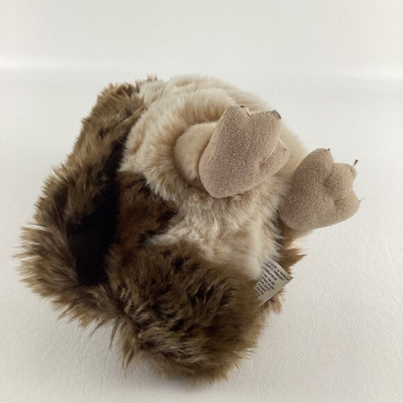 Harry Potter Universal Studios Souvenir Owl 10" Plush Stuffed Animal Toy Wizard - Picture 5 of 6